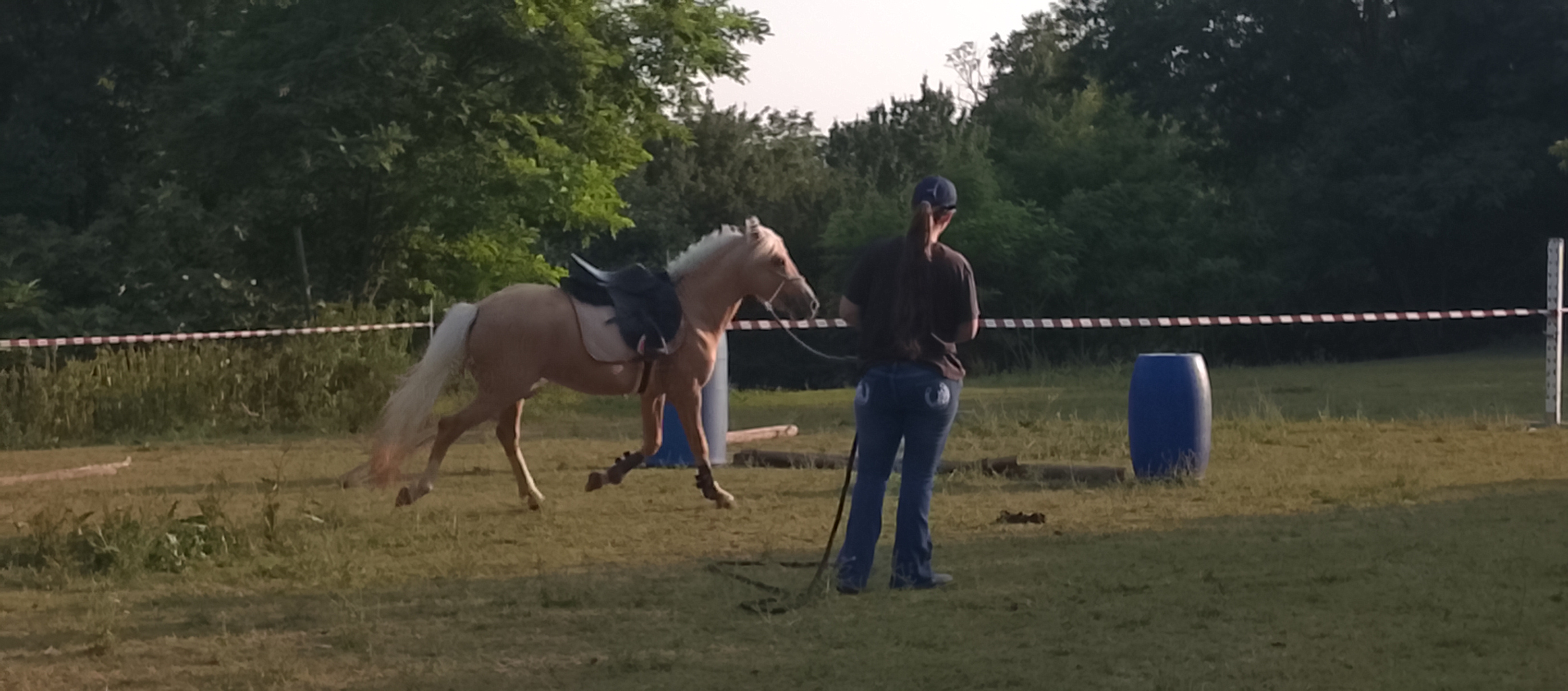 LB Horse Solution