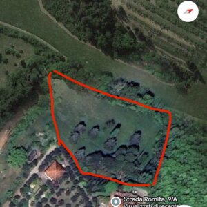 AFFITTO 3 Box + terreno