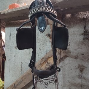 Finimenti kieffer attacco a 4