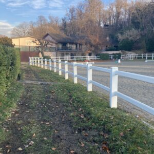 Cercasi uomo di scuderia di fiducia