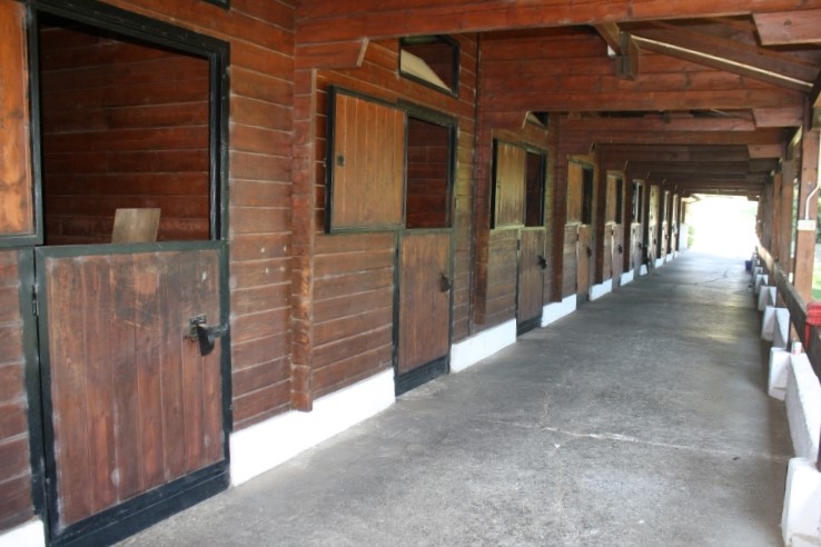 Vendesi splendida tenuta