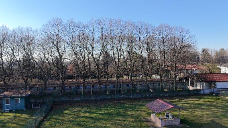 Vendesi canile trasformabile in centro ippico