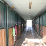 Vendesi centro ippico