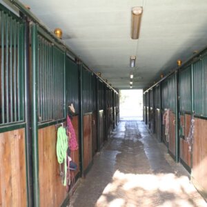 Vendesi centro ippico