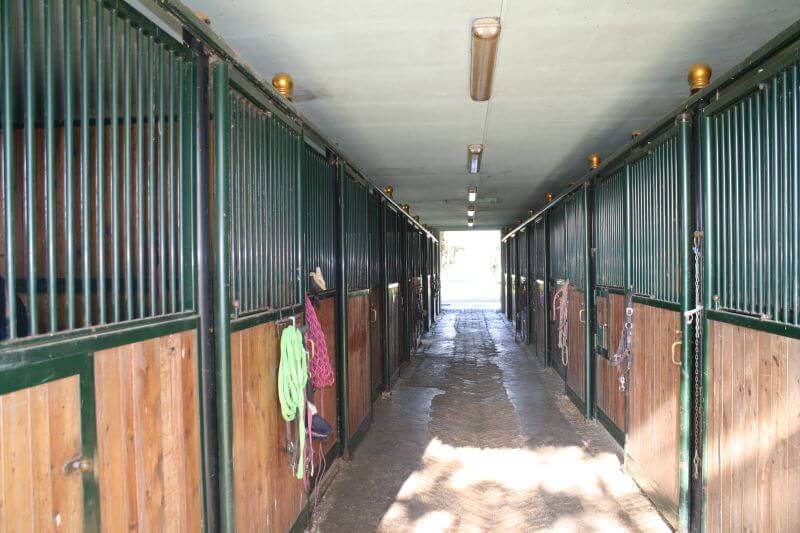 Vendesi centro ippico