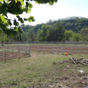 Privato affitta piccolo centro equestre familiare