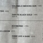 Castrone Quarter horse palomino reining