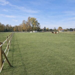 Complesso immobiliare adibito ad Azienda Agricola con Centro Ippico - Cascina Gabetto, 5 Lodi Vecchio LO