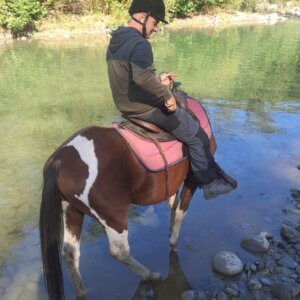 Vendo puledro