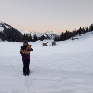 Collaborazione aziende agricole e aiuto nella gestione animali