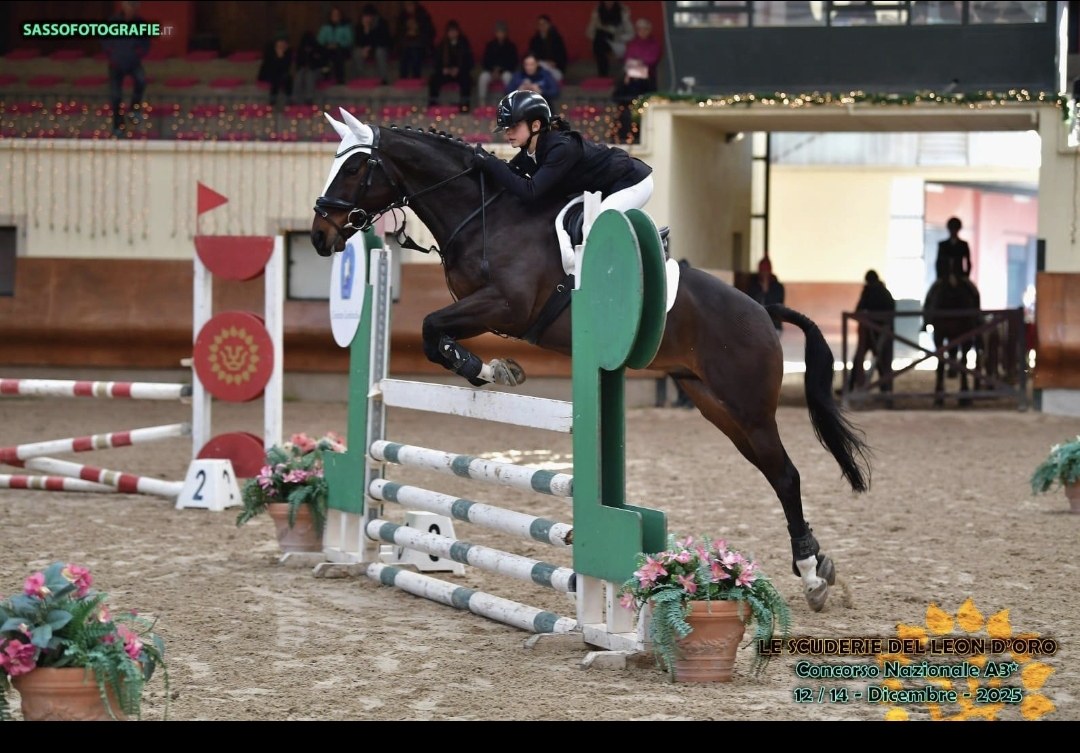 Cavallo in fida