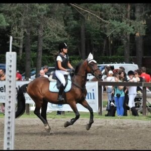 Cerco occupazione part-time per sostenere i miei studi universitari