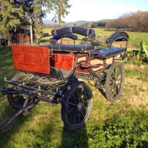 Carrozza per cavalli da passeggio e cerimonia - 4 posti