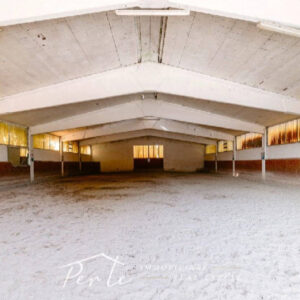Centro ippico in vendita a Curtatone (MN)