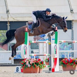 Cercasi groom per Michel Di Carlo, Maneggio Equiland